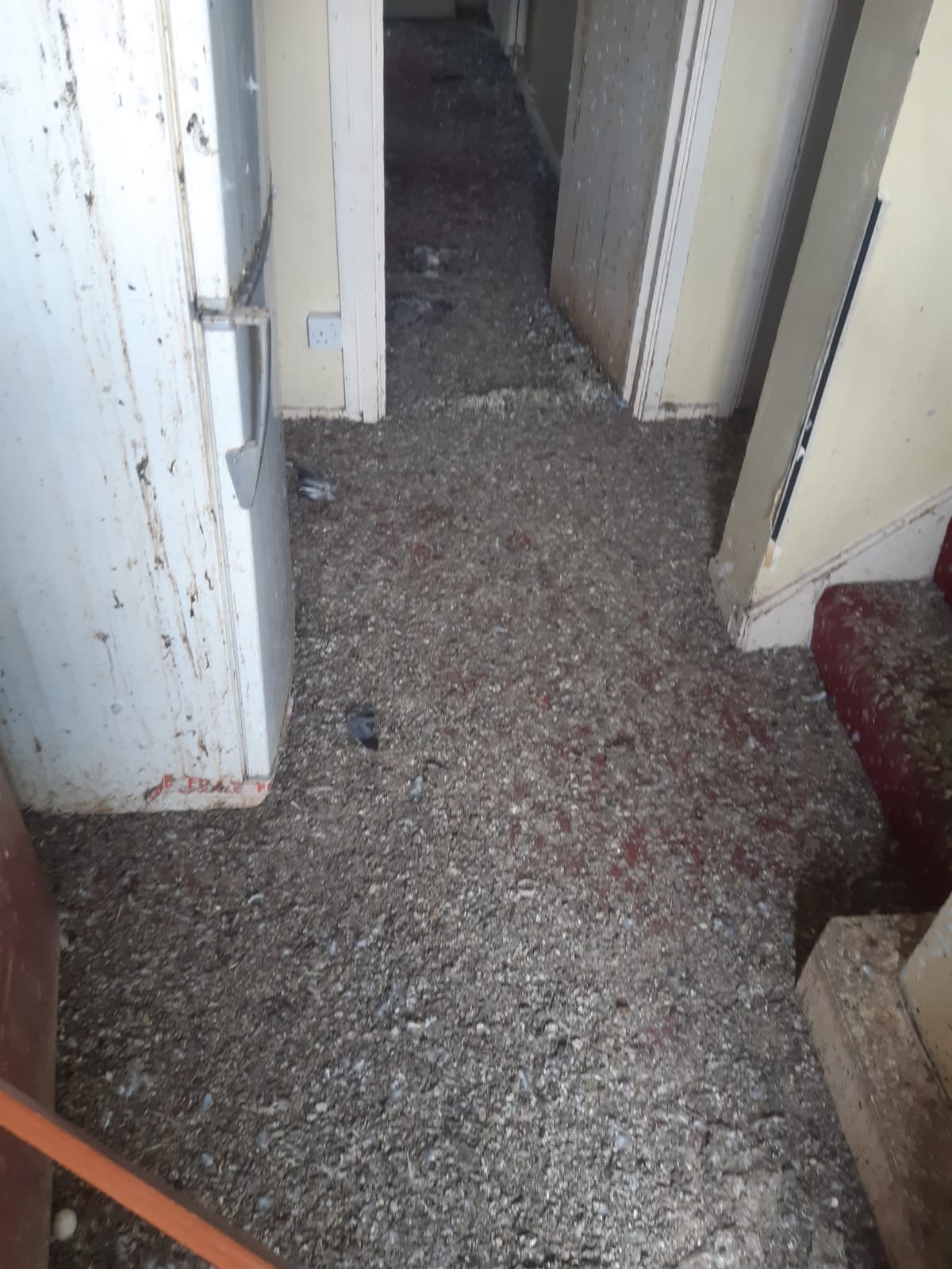 Asbestos On Floor